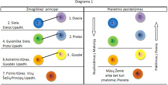 diagrama atitikimas tarp zmogaus ir zemes principu